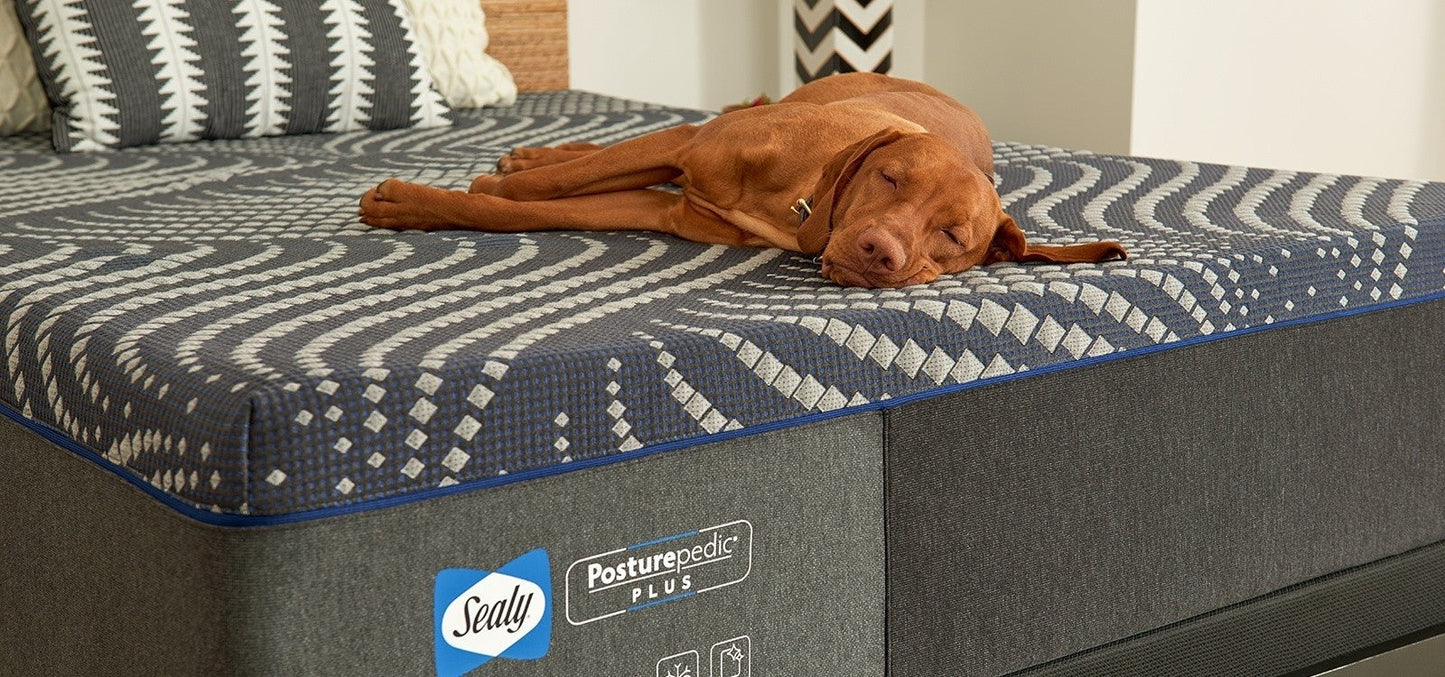 Sealy Posturepedic Plus Foam - Medium - King Smyrna Furniture Outlet