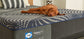 Sealy Posturepedic Plus Foam - Medium - King