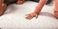 Cocoon Chill Mattress - Hybrid
Foam + Springs - Queen