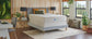 Sealy Naturals Hybrid Mattress - Firm - Split King