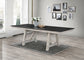 MARIBELLE DINING TABLE LEG
