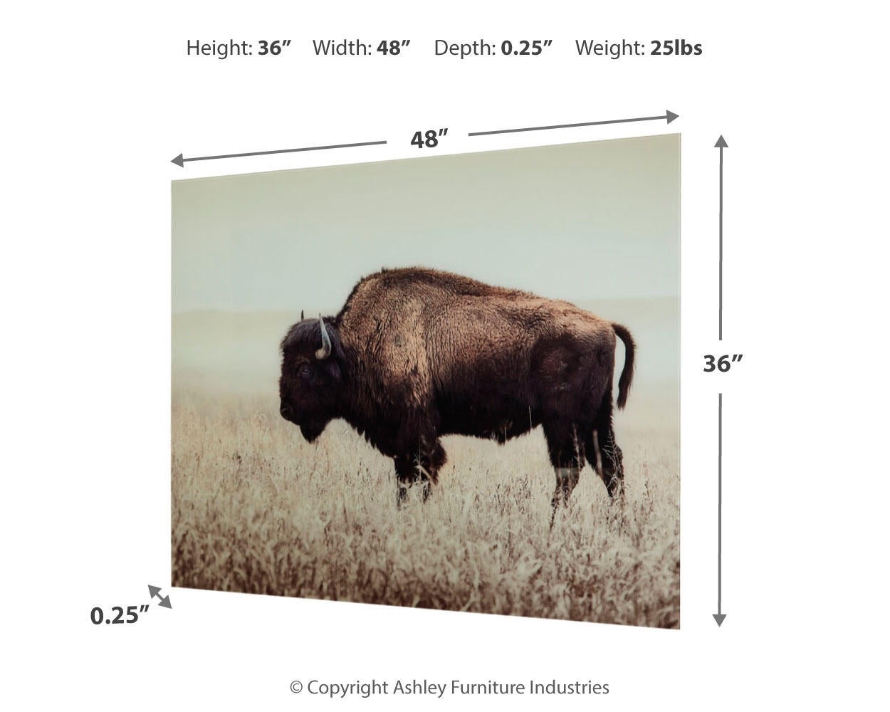Brutus Wall Art