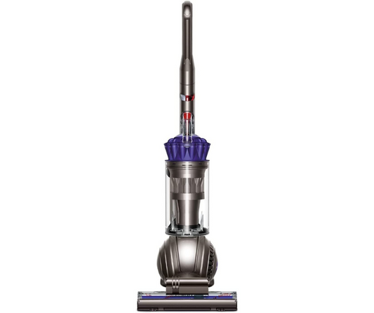 Dyson Ball Animal Upright Vacuum - Corded Smyrna Furniture Outlet